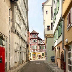 23-03-17 12-02-44 4898